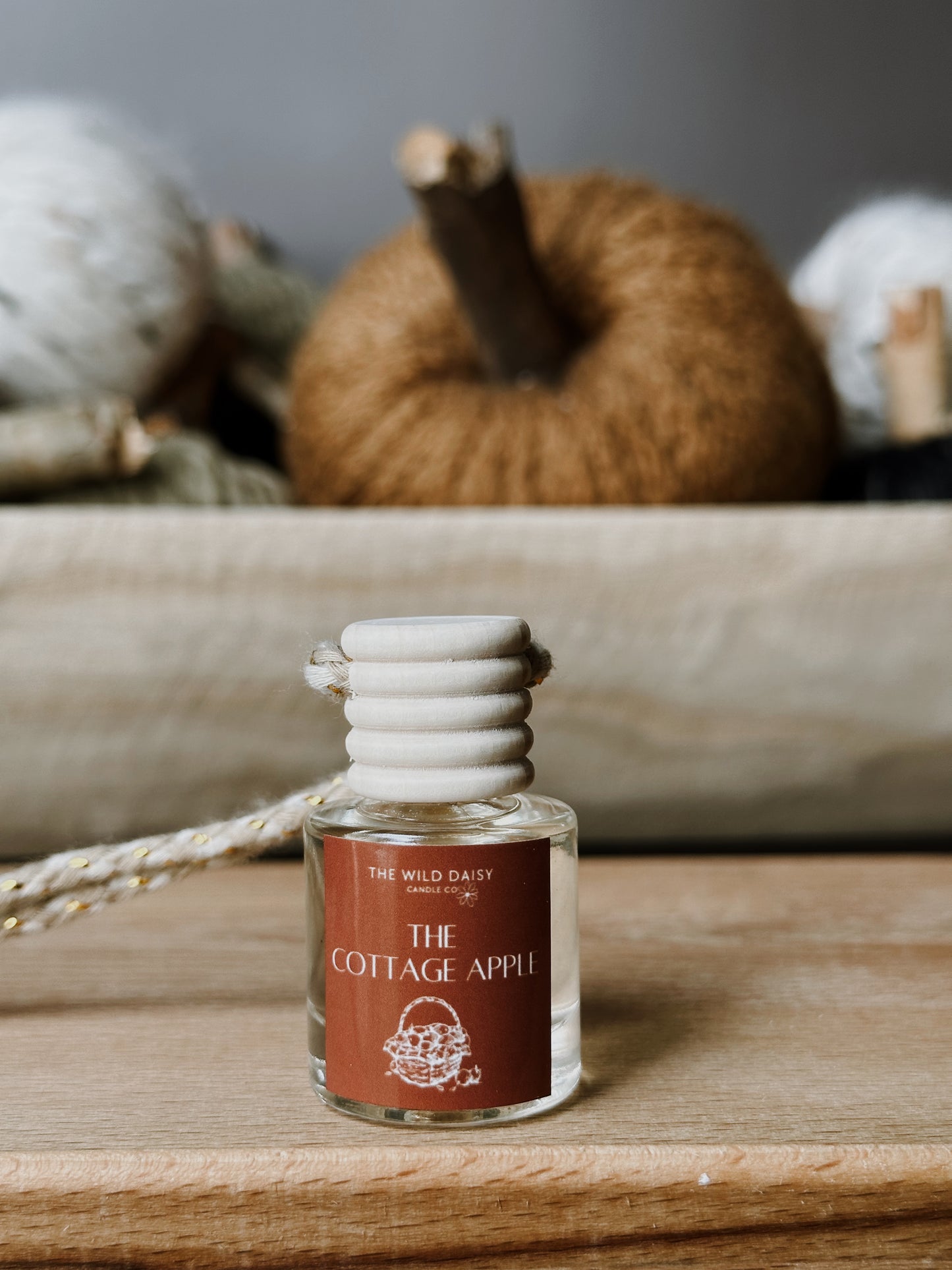 Fall Car Diffusers