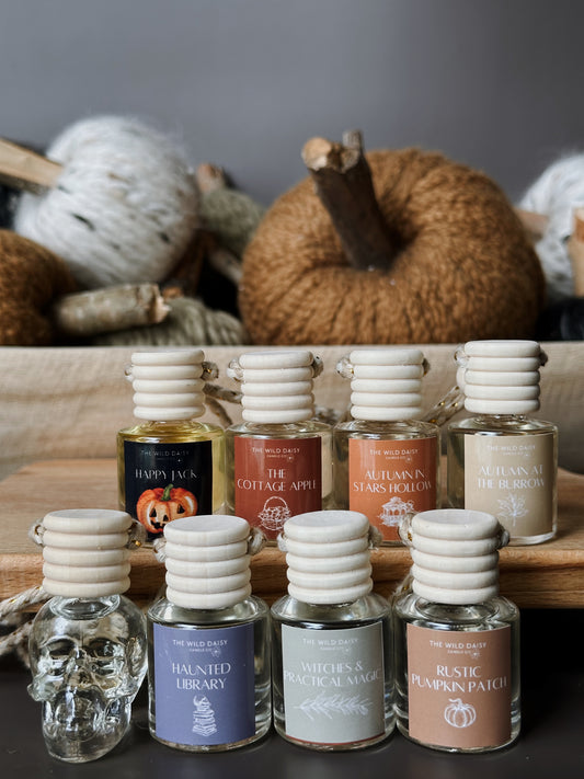 Fall Car Diffusers