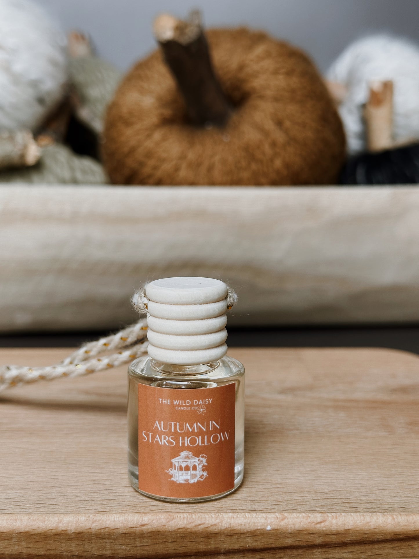 Fall Car Diffusers