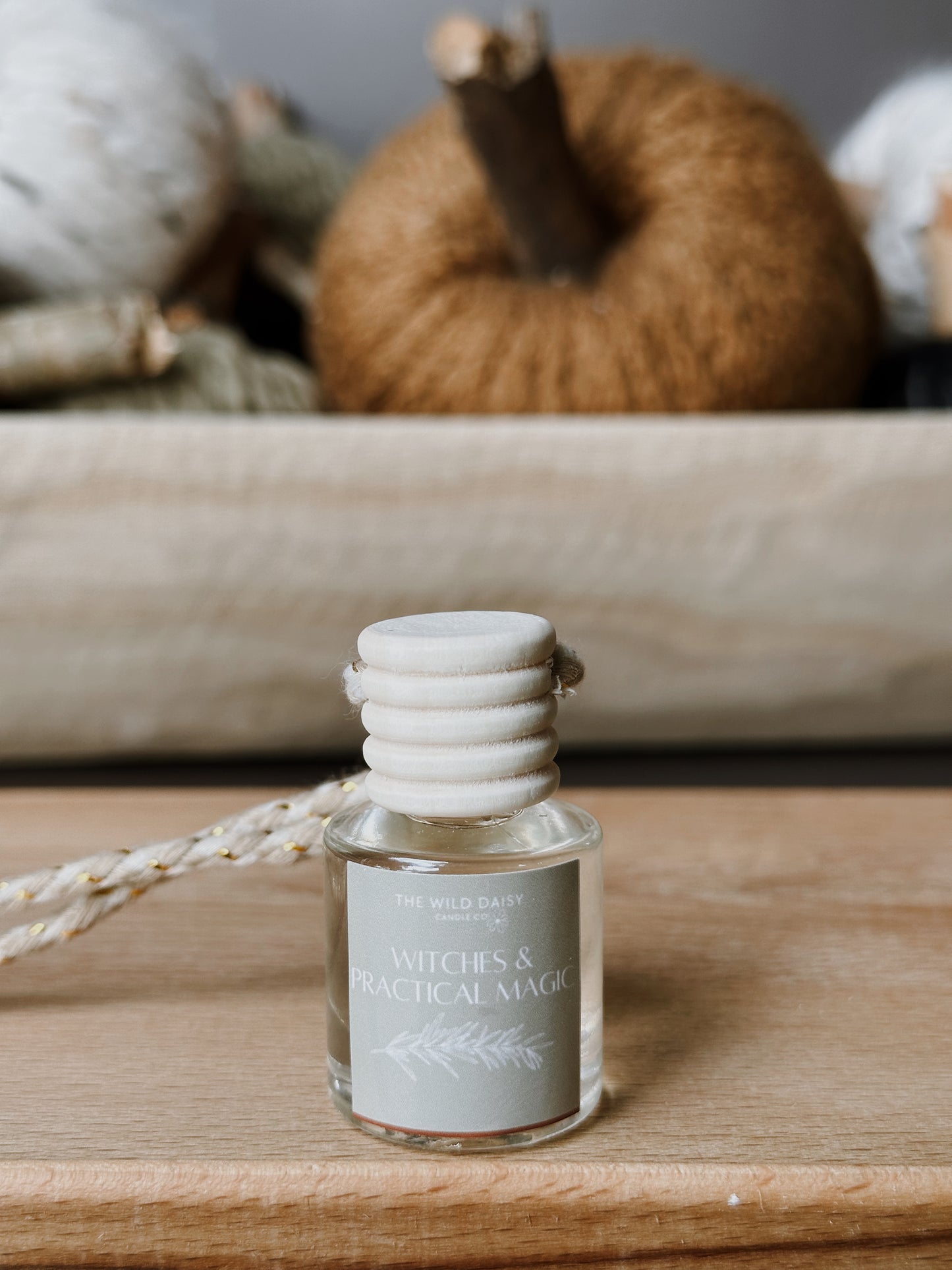 Fall Car Diffusers