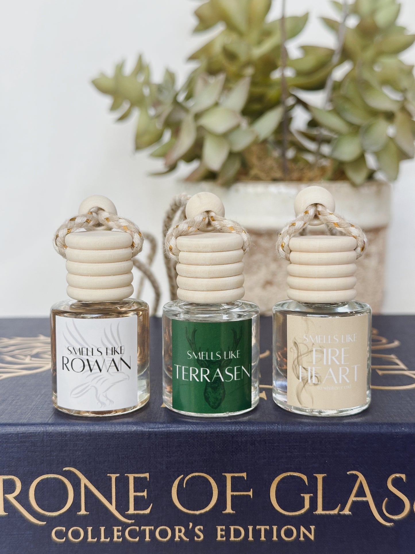 Terrasen Bundle